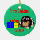 Search for 2010 christmas tree decorations Cute
