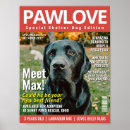 Search for adopted posters For pets