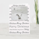 Search for swans christmas cards Xmas