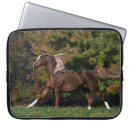 Search for grassy cases Bob langrish