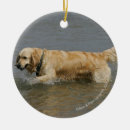Search for flat coated retriever christmas tree decorations Bob and pam langrish