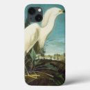Search for beak ipad cases Audubon