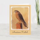 Search for kestrel cards Raptor