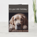Search for black labrador retriever birthday cards Funny