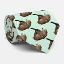 Search for sloth ties Wildlife