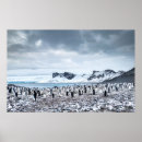 Search for antarctic ocean posters Snow