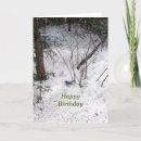 Search for blue jay birthday cards Birds