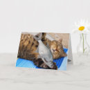 Search for funny fisherman birthday cards Cute