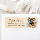Search for bullmastiffs Cute