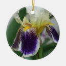 Search for iris christmas tree decorations Purple