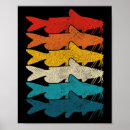 Search for carp fishing posters River