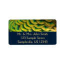 Search for gold feather return address labels Feathers