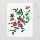 Search for dark pink rose postcards Elegant