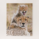 Search for baby cheetah toy games Cat