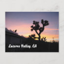 Search for high desert postcards Tree