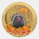 Search for hay stickers Thanksgiving