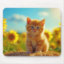 Search for ginger mousepads Flowers