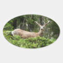 Search for yosemite stickers Nature