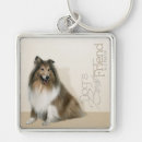 Search for rough collie Animals