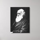 Search for evolution photography Darwin