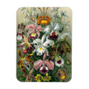Search for ernst magnets Vintage