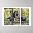 Search for funny baby posters Wildlife