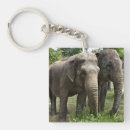 Search for asian key rings Animals