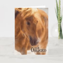 Search for equine thank you cards Western