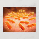 Search for microscopic postcards Magnification