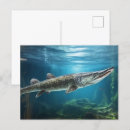 Search for fish swimming postcards Nature