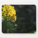 Search for bumble photography Floral