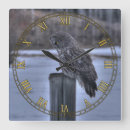 Search for great grey owl art Birds