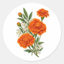 Search for orange marigold stickers Floral