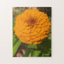 Search for dahlia puzzles Pink