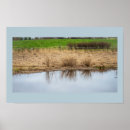 Search for waterscape posters Nature