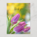 Search for tulips thank you cards Blossom