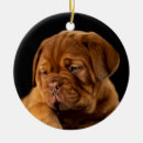 Search for dogue de bordeaux christmas tree decorations Puppy