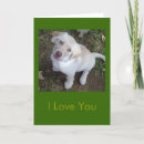 Search for humane cards Dog