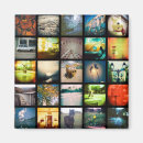 Search for instagram magnets Cool
