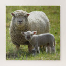 Search for lamb puzzles Cute