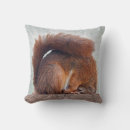 Search for red squirrel cushions Fun