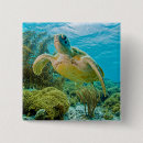 Search for reefs badges Underwater