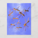 Search for pests postcards Bugs