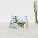 Search for baby owls note cards Nature