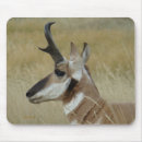 Search for hunt electronics Outdoors
