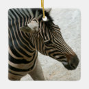 Search for zebra christmas tree decorations Wild