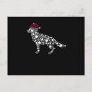 Search for white german shepherd postcards Gsd