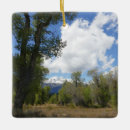 Search for grand teton national park christmas tree decorations Hiking