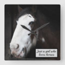 Search for beautiful white horse art Equestrian