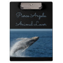 Search for breaching whale Blue